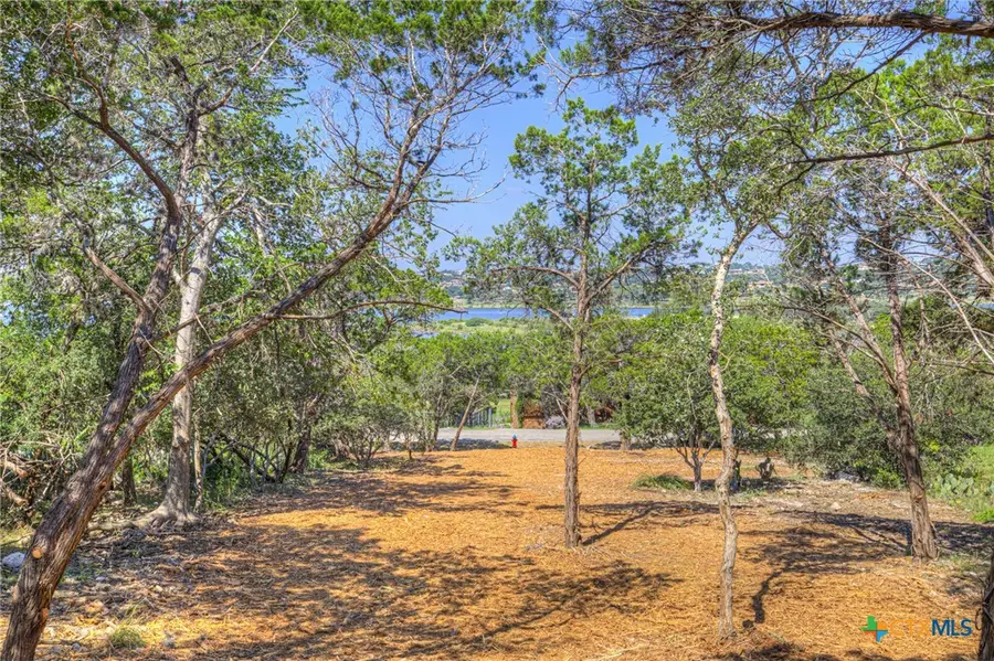 1919 Lakeshore Drive, Canyon Lake, TX 78133 - #3