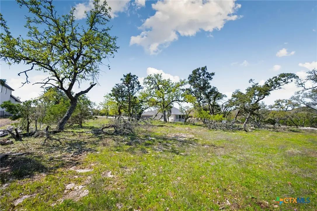 1275 Smoky Loop Road, New Braunfels, TX 78132 - #1