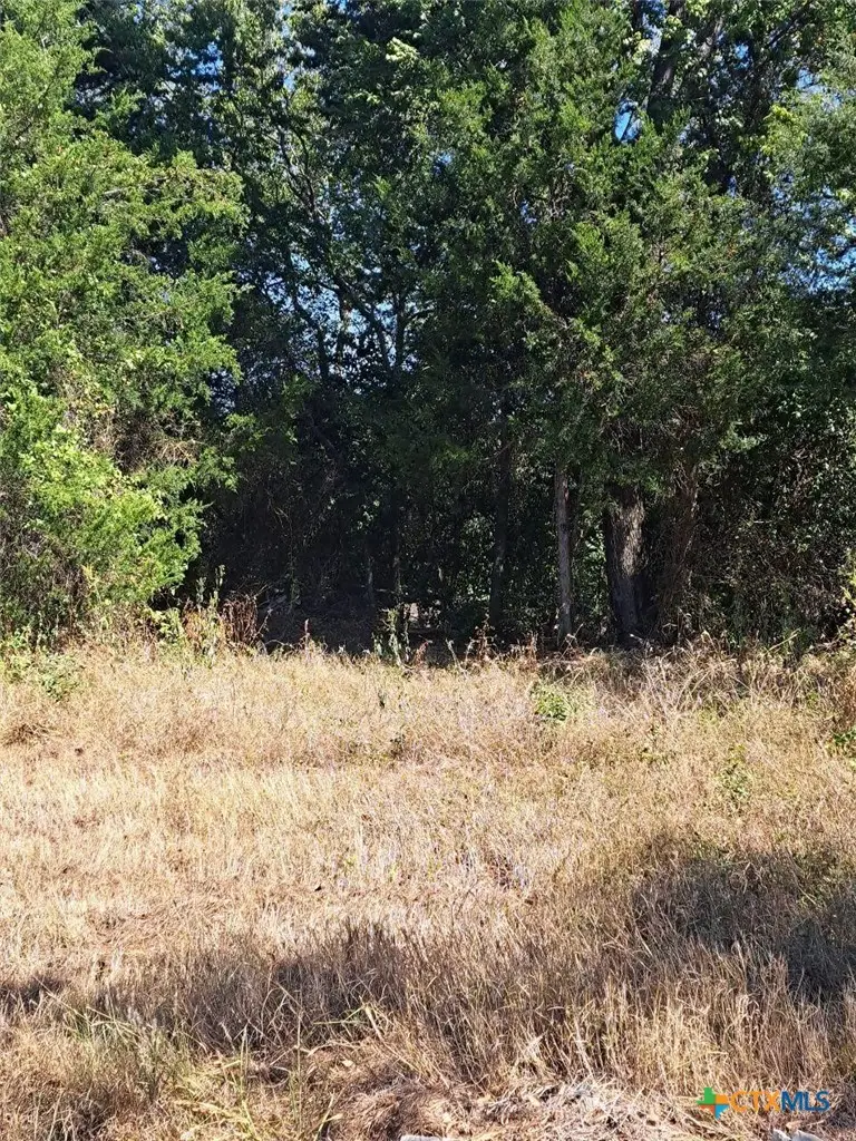 6077 Us-77 Highway, Rockdale, TX 76567 - #2