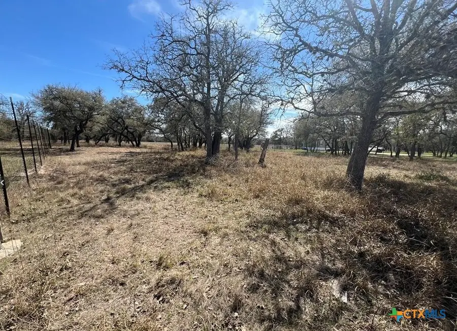 443 Private Road 1065, Hallettsville, TX 77964 - #3