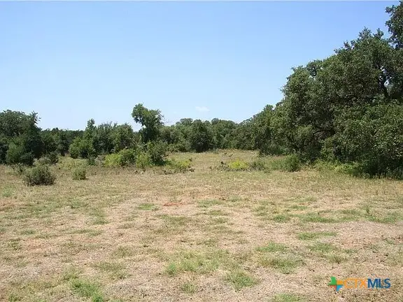 580 Whisper Lane, Georgetown, TX 78628 - #2