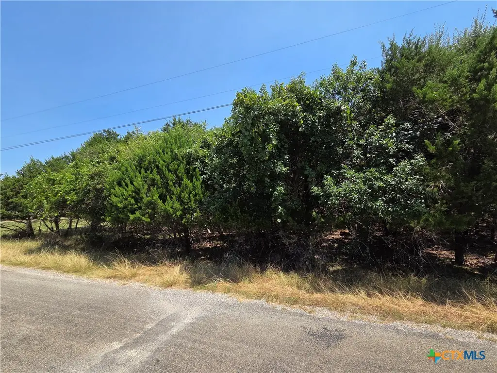 4969 Goliad Drive, Temple, TX 76502 - #1