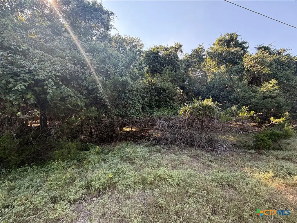 TBD Willow Run Drive, Morgans Point Resort, TX 76513 - #1