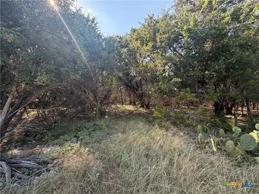 TBD Willow Run Drive, Morgans Point Resort, TX 76513 - #2
