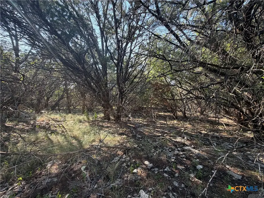 TBD Willow Run Drive, Morgans Point Resort, TX 76513 - #3