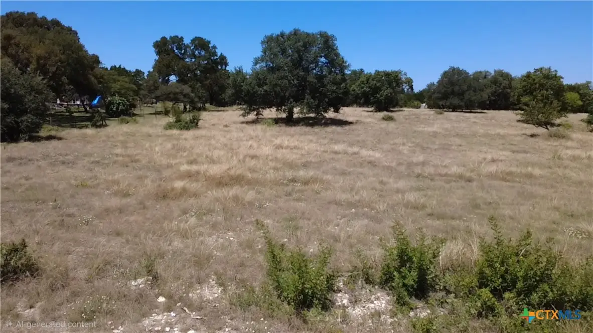 Lot 1 Blk 1 Cr 4765, Kempner, TX 76539 - #1