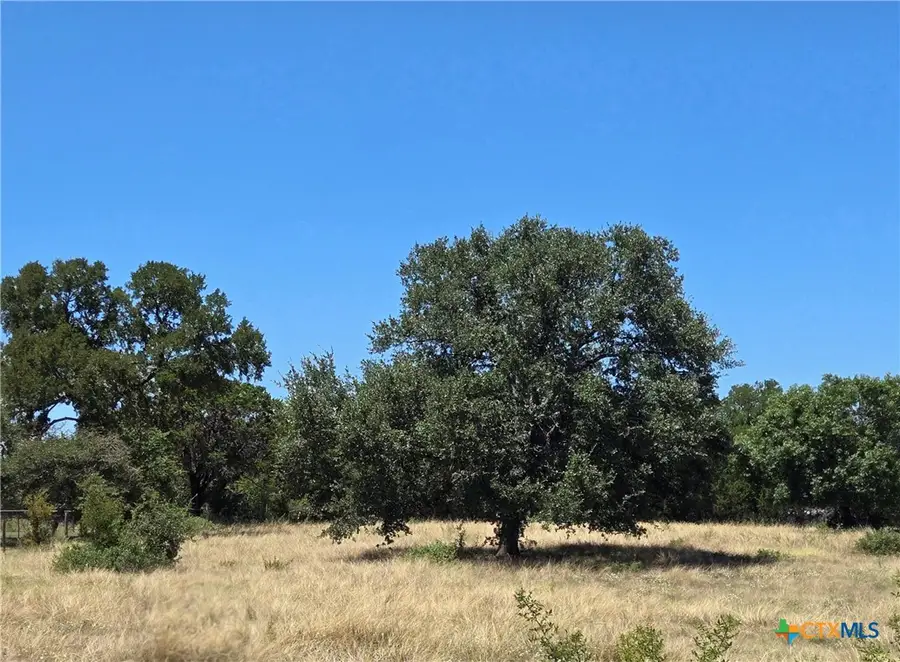 Lot 1 Blk 1 Cr 4765, Kempner, TX 76539 - #2