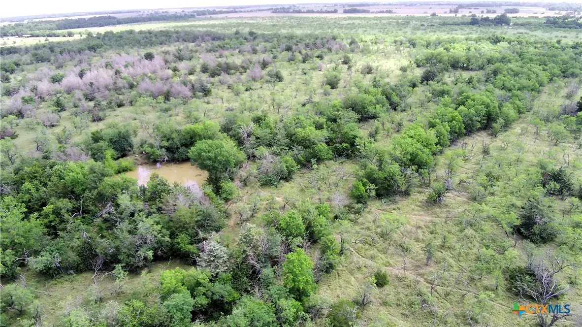 000 Lcr 663, Kosse, TX 76653 - #1
