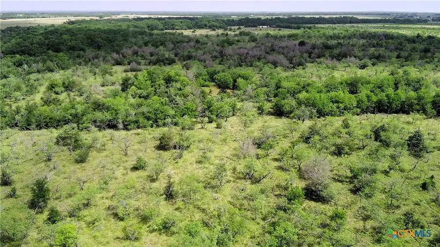 000 Lcr 663, Kosse, TX 76653 - #3