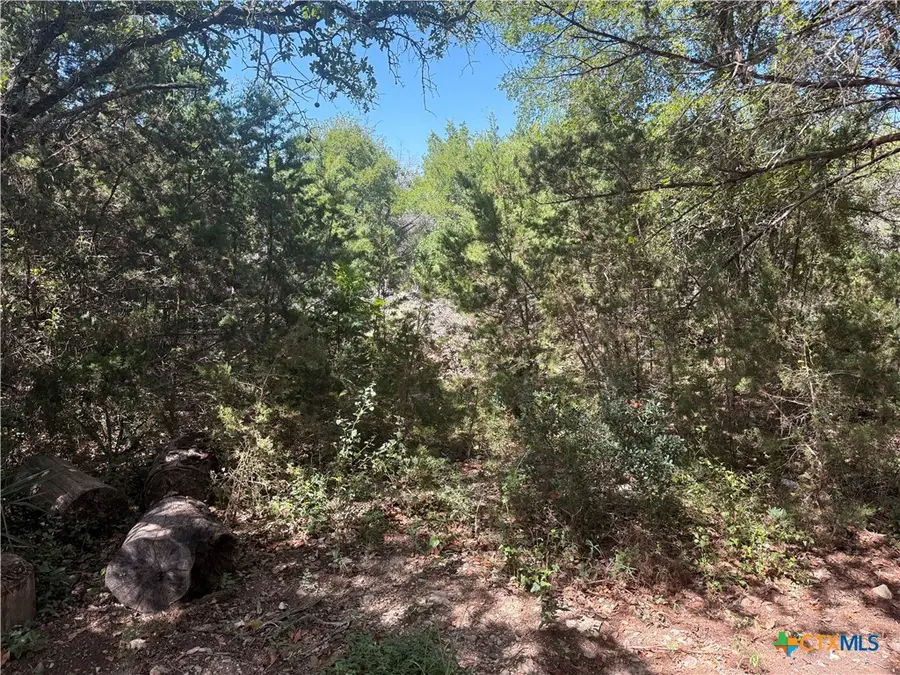TBD Mojave Lane, Morgans Point Resort, TX 76513 - #2