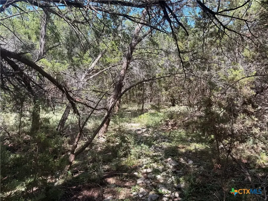 TBD Mojave Lane, Morgans Point Resort, TX 76513 - #3