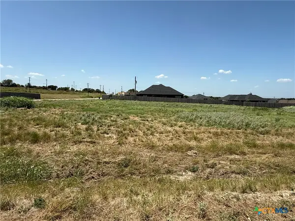 7801 Bull Rock Street, Moody, TX 76557