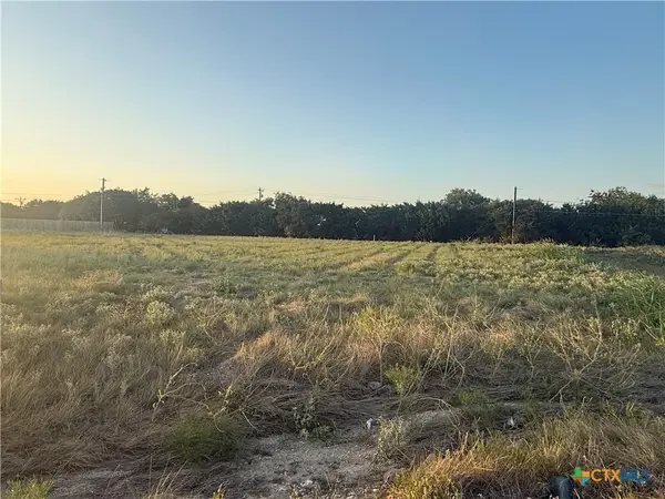 7821 Bull Rock Street, Moody, TX 76557