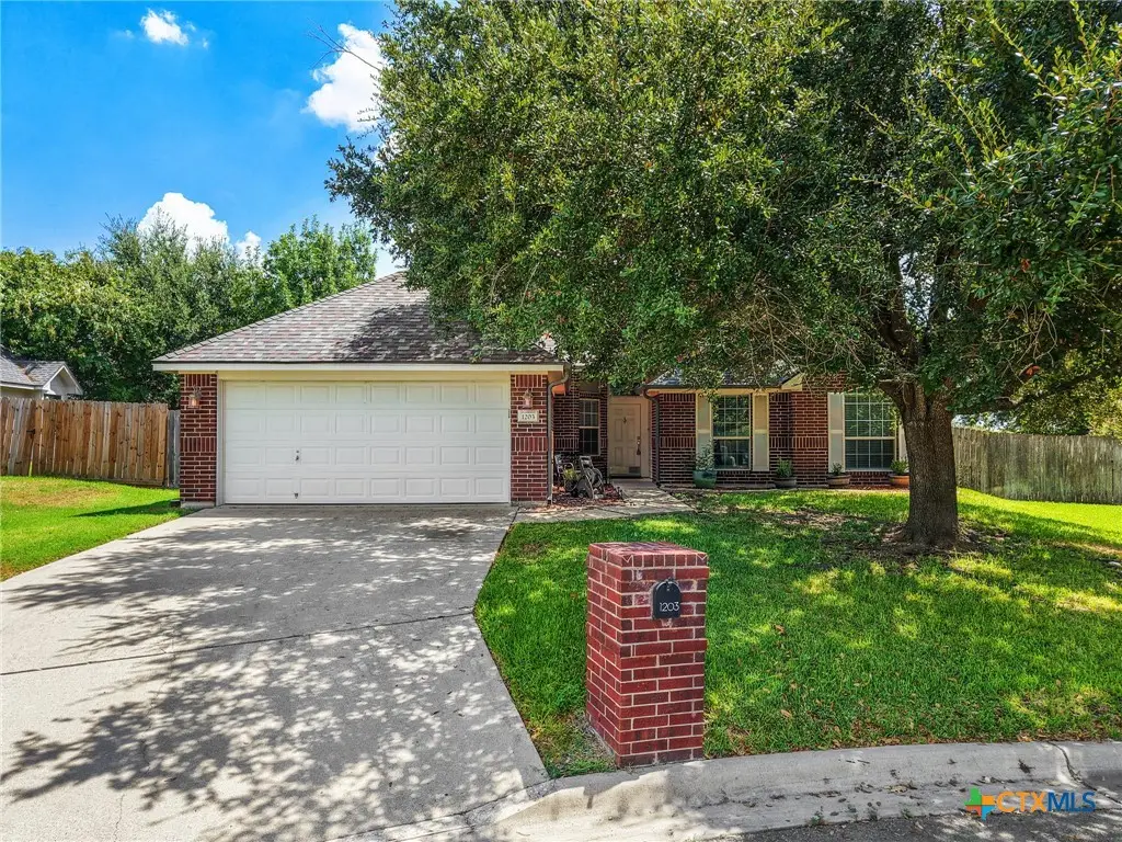 1203 Woodhollow Drive, Temple, TX 76502 - #1