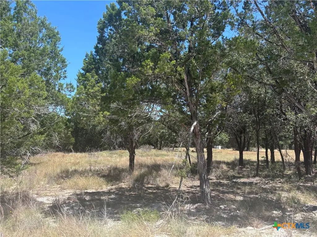 219 County Road 4360, Lampasas, TX 76550 - #1