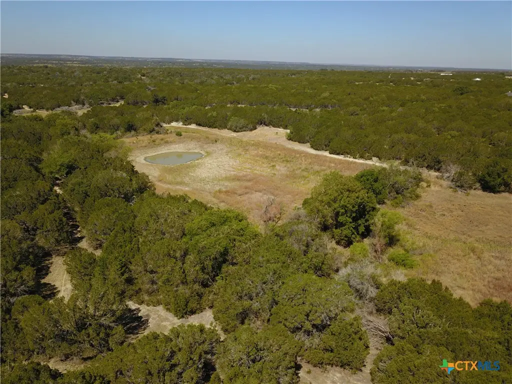 1048 County Road 426, Purmela, TX 76566 - #1
