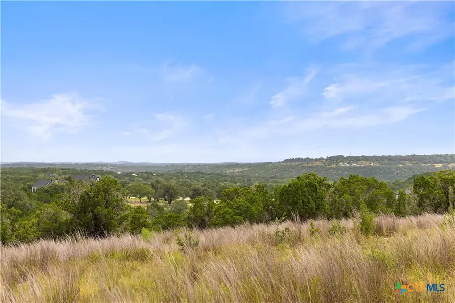 195 Lilly Belle Way, Johnson City, TX 78636 - #2