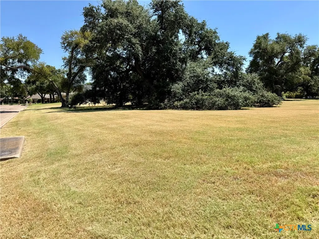 209 Twelve Oaks Drive, Temple, TX 76504 - #1