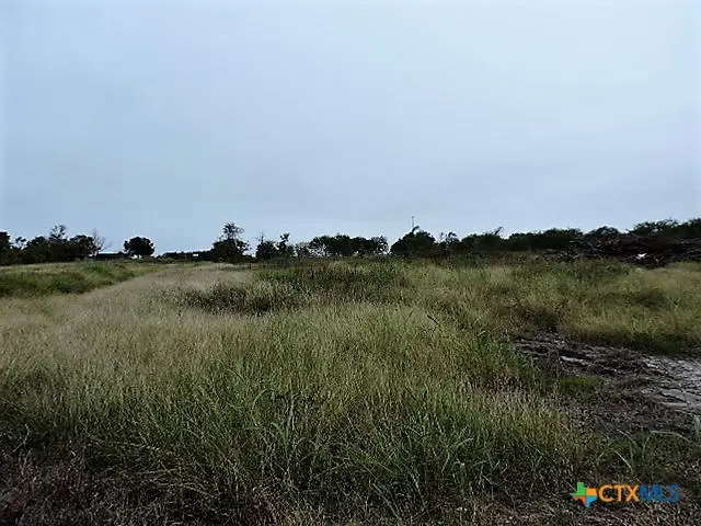 000 S Lee, Westhoff, TX 77994 - #3
