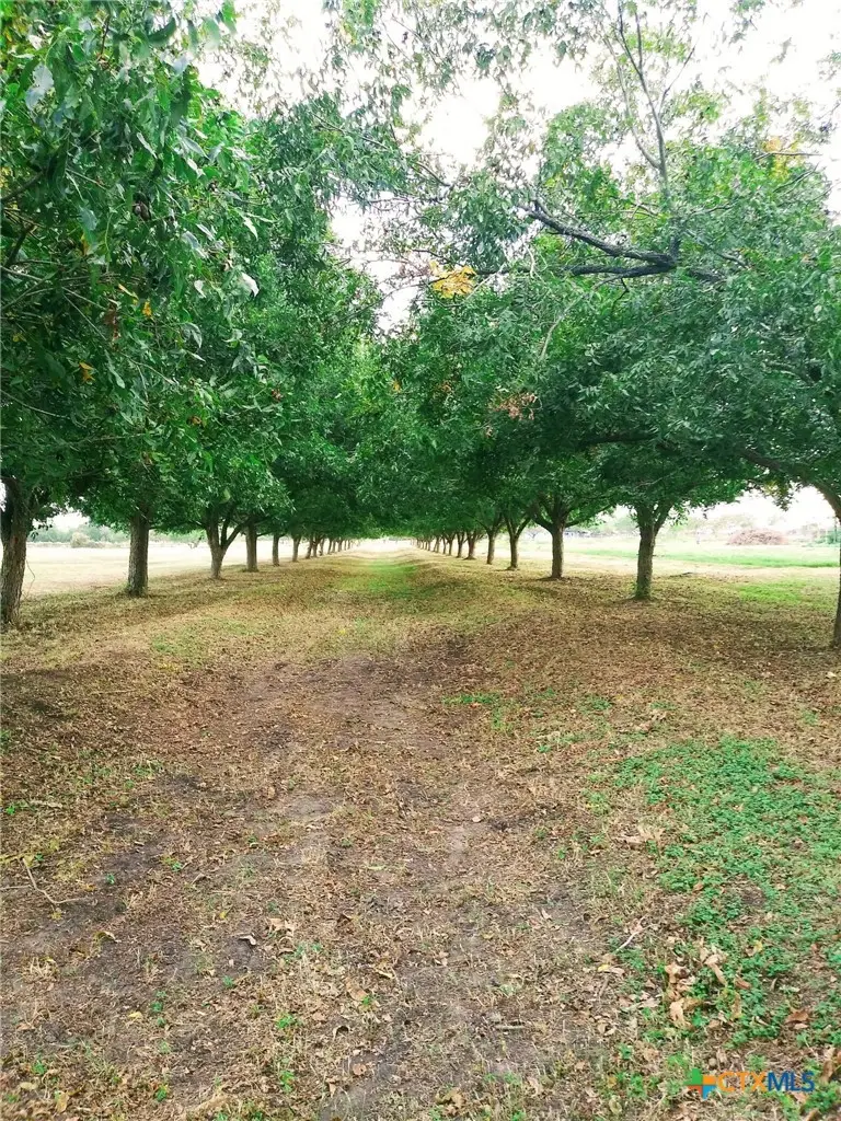 263 Krams Creek Road, Seguin, TX 78155 - #2
