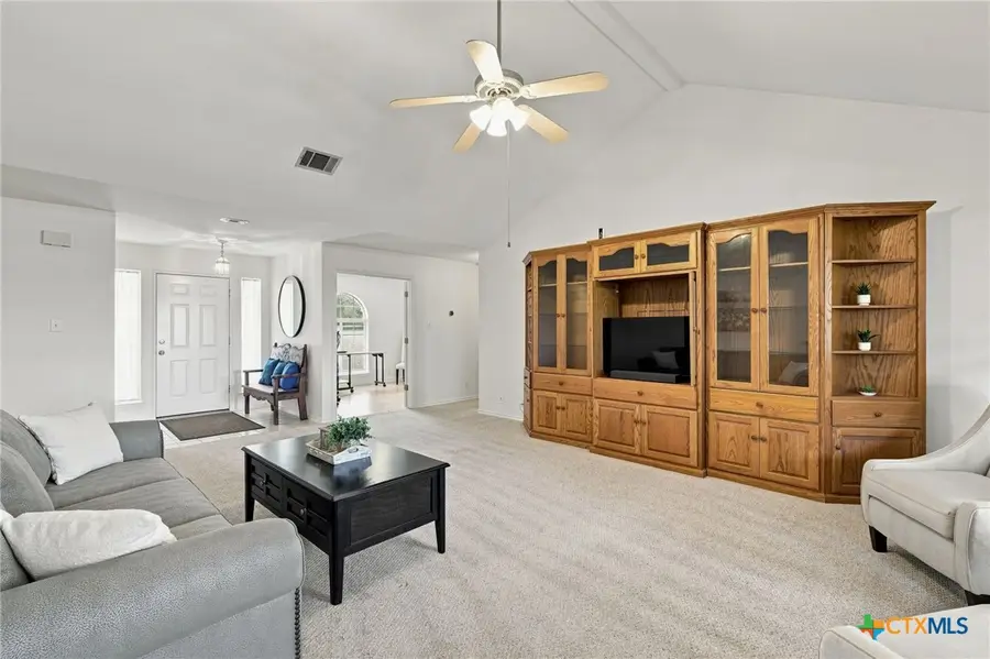 21500 Sierra Trail, Lago Vista, TX 78645 - #3