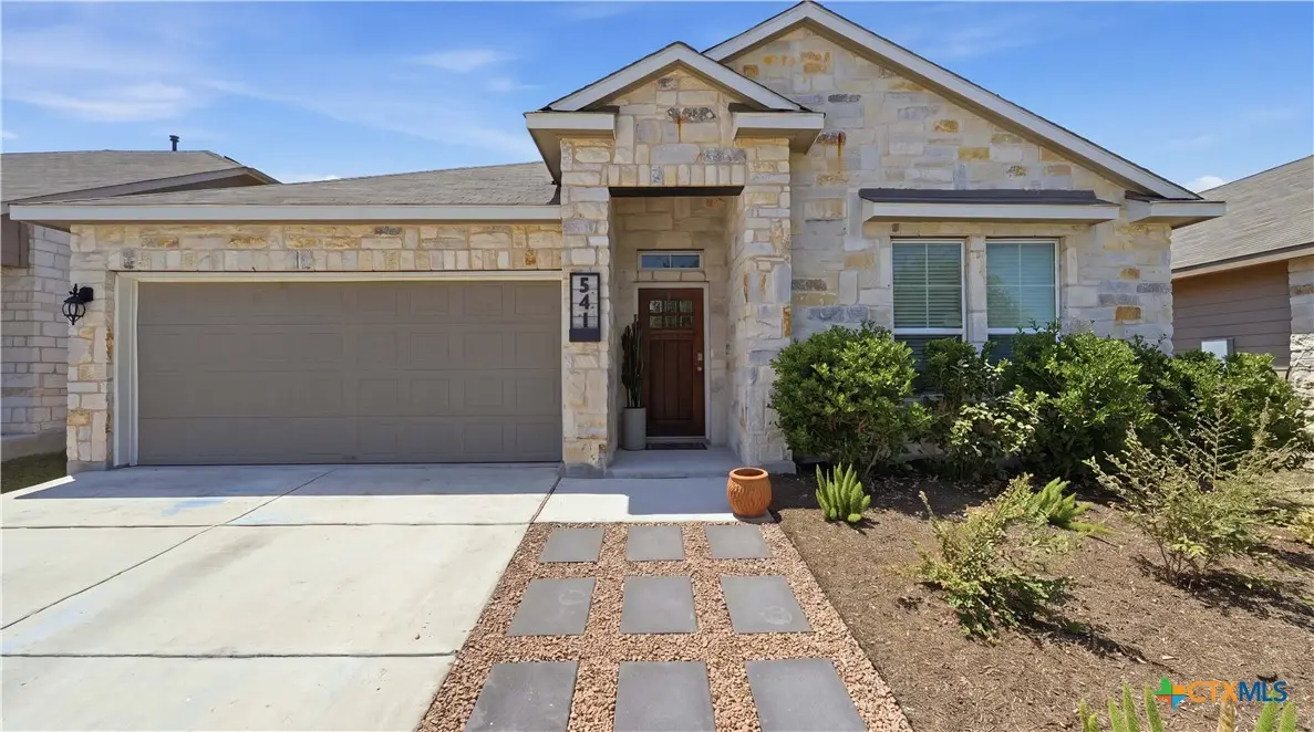 541 Blue Stem Road, New Braunfels, TX 78130 - #1