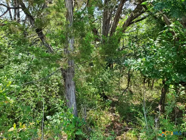 1004 E Avenue E, Temple, TX 76501