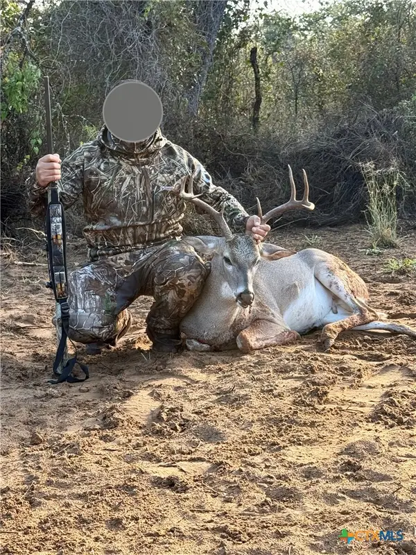 5711 Fm 765, San Saba, TX 76872