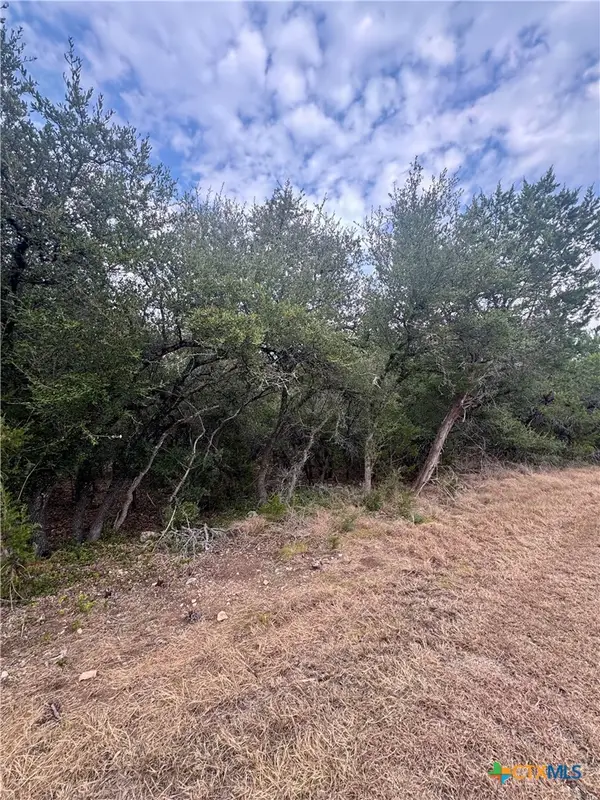 207 Sunset Road, Georgetown, TX 78633