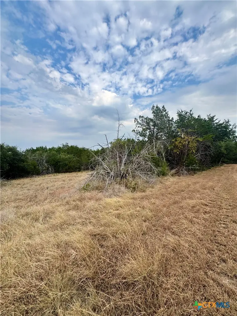 207 Sunset Road, Georgetown, TX 78633 - #2