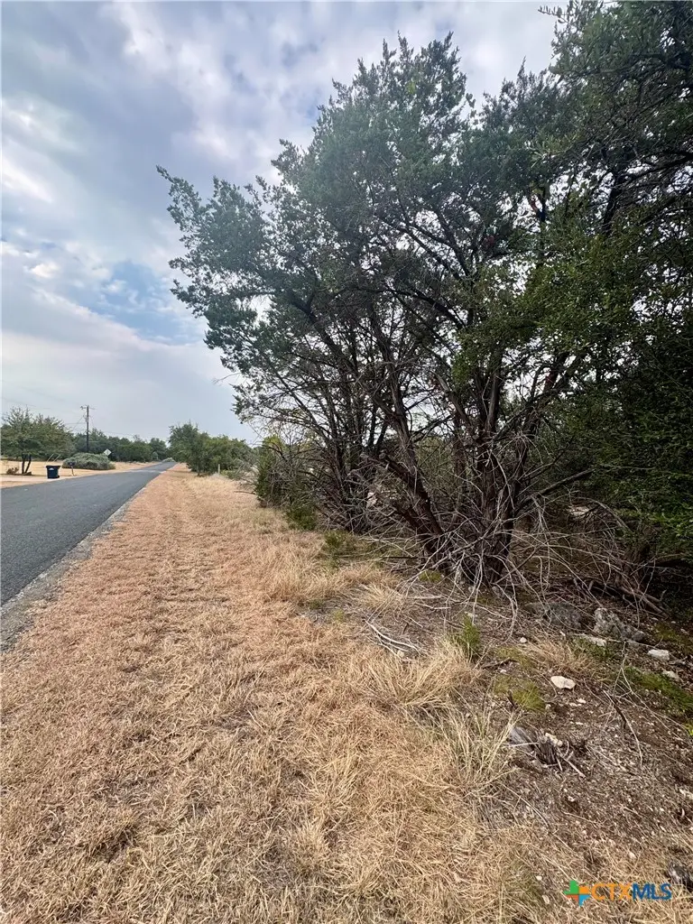 207 Sunset Road, Georgetown, TX 78633 - #3