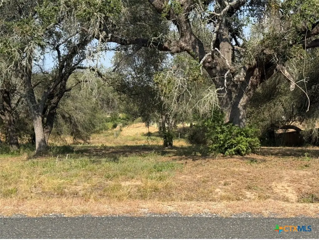 22815 Grand Spring, Elmendorf, TX 78112 - #1