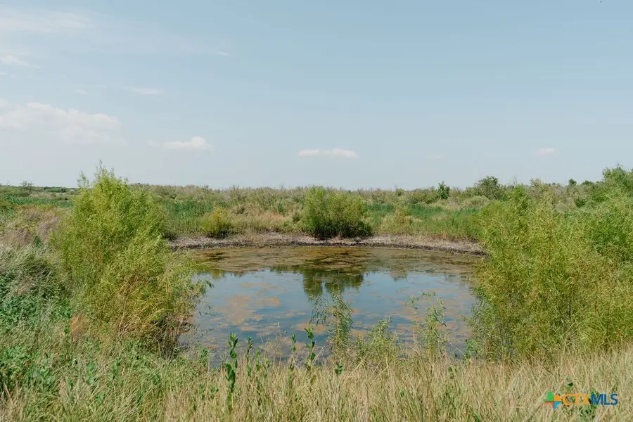 LOT 238 TRACT 9 Guadalupe River Road, Tivoli, TX 77990 - #3