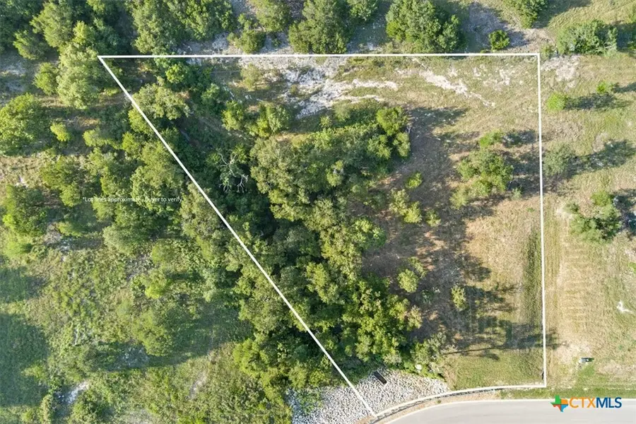 10132 Blanco Springs Road, Northwest Bell, TX 76557 - #2