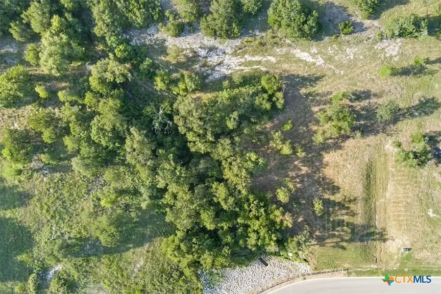 10132 Blanco Springs Road, Northwest Bell, TX 76557 - #3