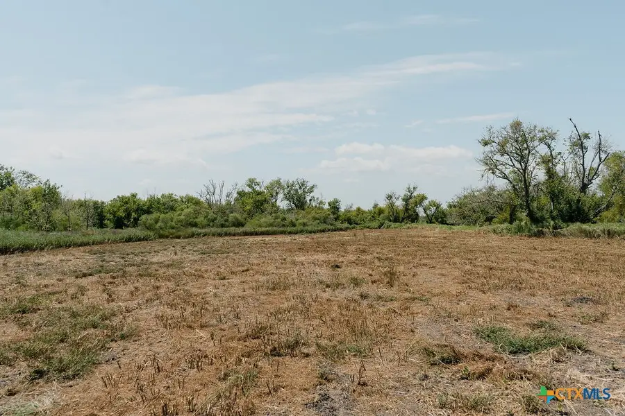 LOT 230 TRACT 10 Guadalupe River Road, Tivoli, TX 77990 - #3