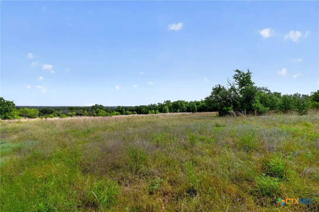 3650 Fm 932, Jonesboro, TX 76538 - #1