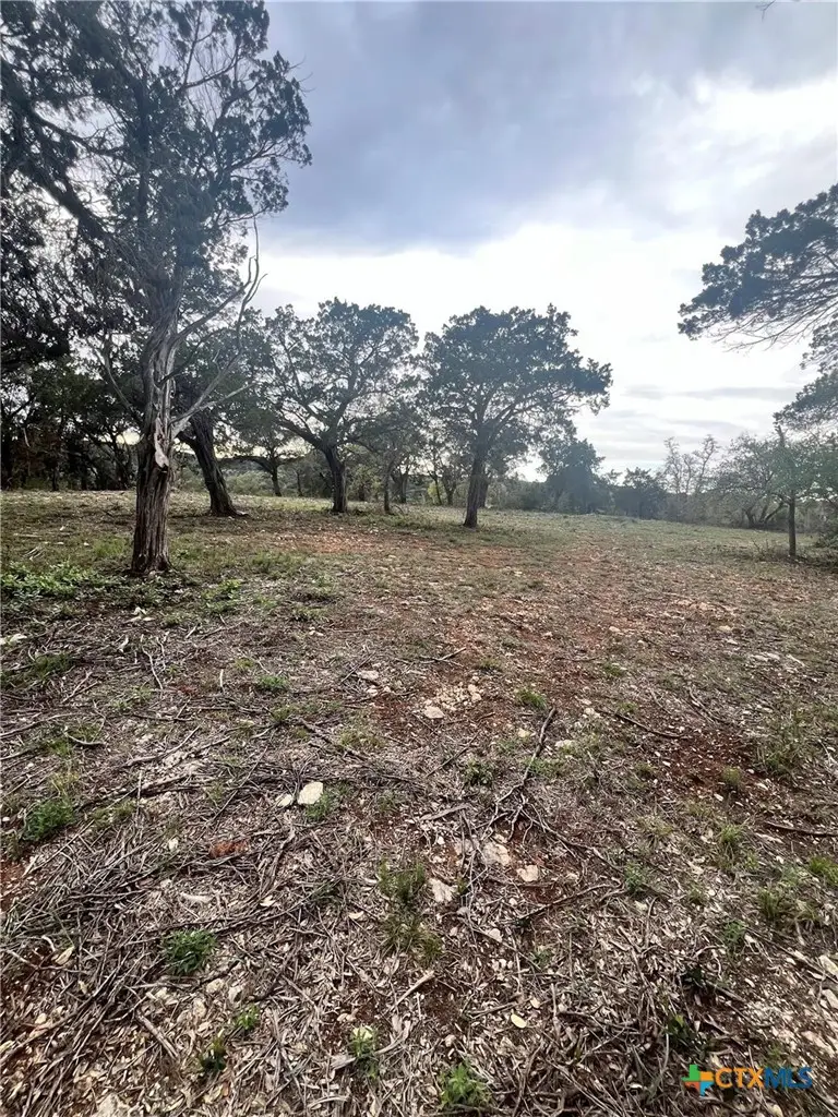 19705 Tyler Trail, Leander, TX 78645 - #1