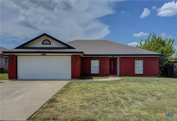 4203 Lonesome Dove Drive, Killeen, TX 76549