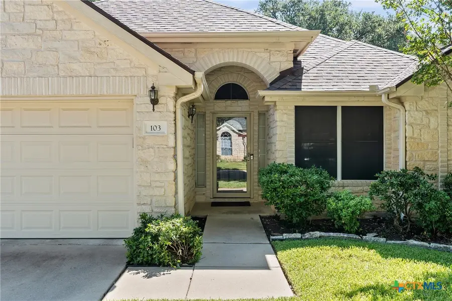 103 Village Drive, Georgetown, TX 78628 - #3