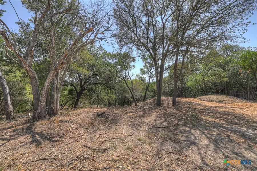 1019 Burleson Street, San Marcos, TX 78666 - #3