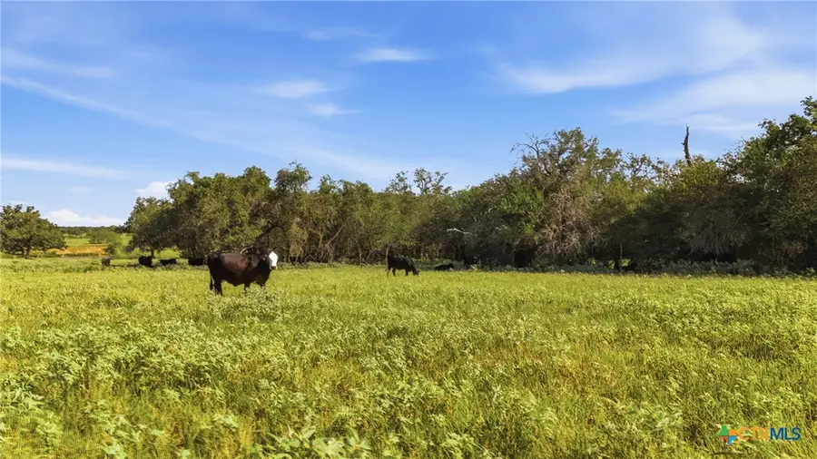 494 Flash Circle, Harwood Ottine, TX 78648 - #3
