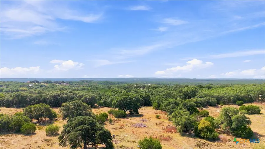 703 Blackbuck Ridge Drive, Lampasas, TX 76550 - #2