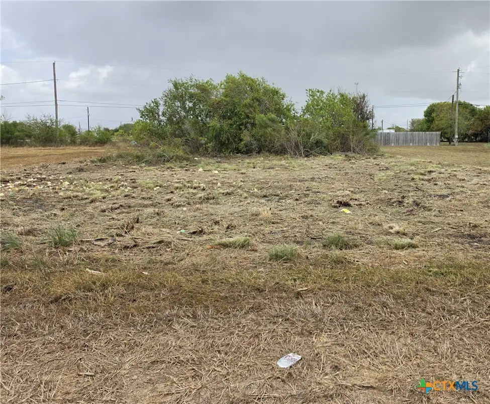 704 W Toledo Avenue, Seadrift, TX 77983 - #1