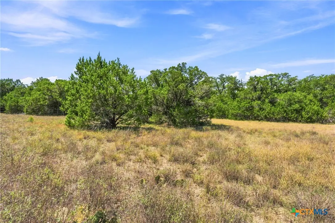 TBD LOT 2 (10.68 Ac) Lipan Run, Fischer, TX 78623 - #1