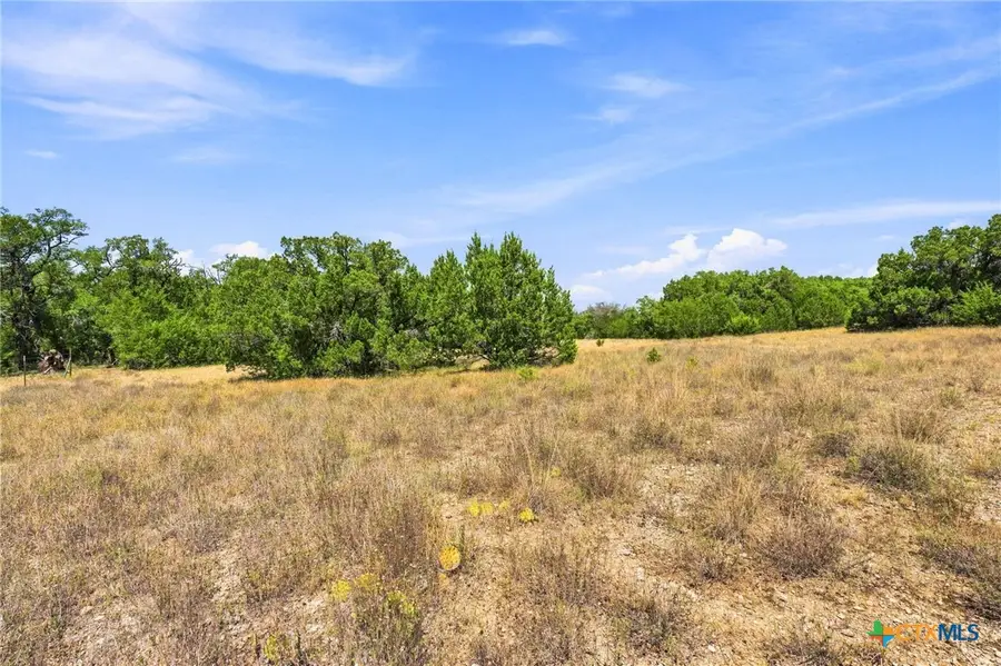 TBD LOT 2 (10.68 Ac) Lipan Run, Fischer, TX 78623 - #3