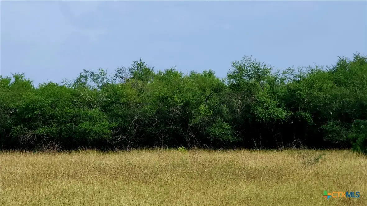 00 San Antonio River Road, Victoria, TX 77905 - #1