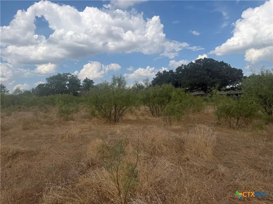 246 Old Waco Road, Gatesville, TX 76528 - #3