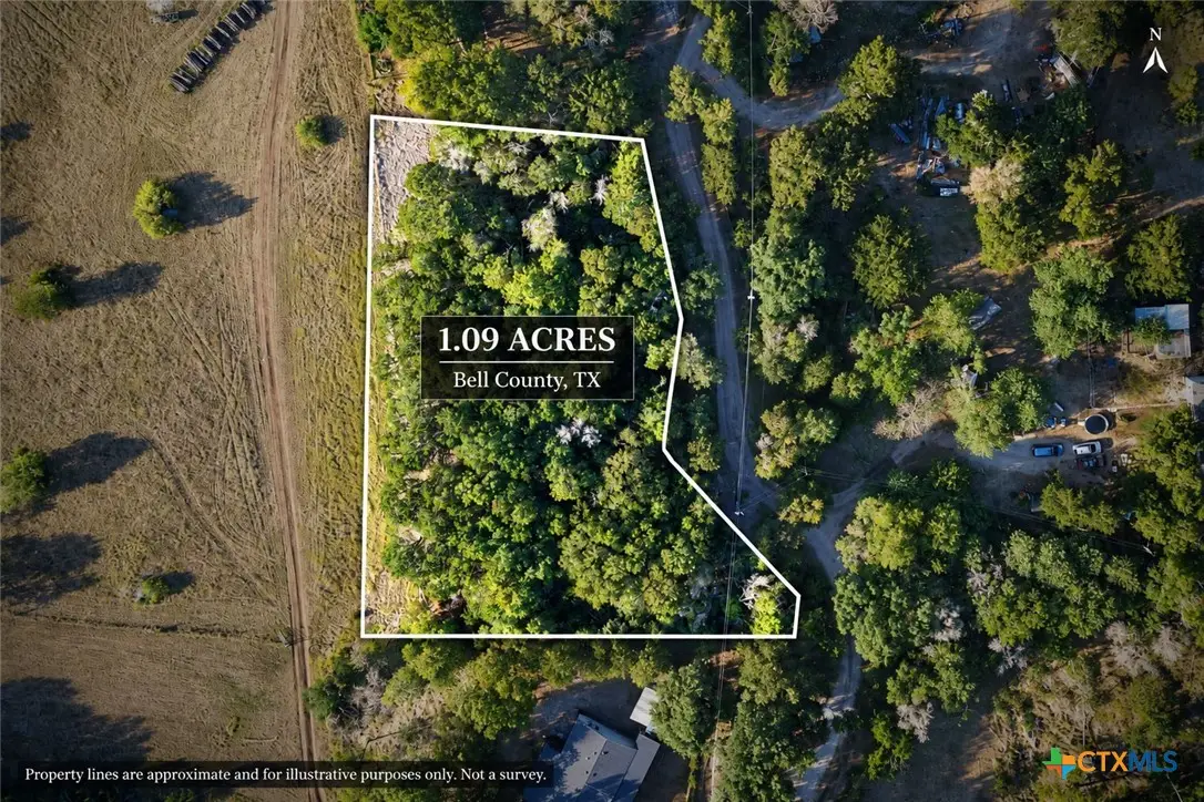 TBD Sunflower Lane, Belton, TX 76513 - #1