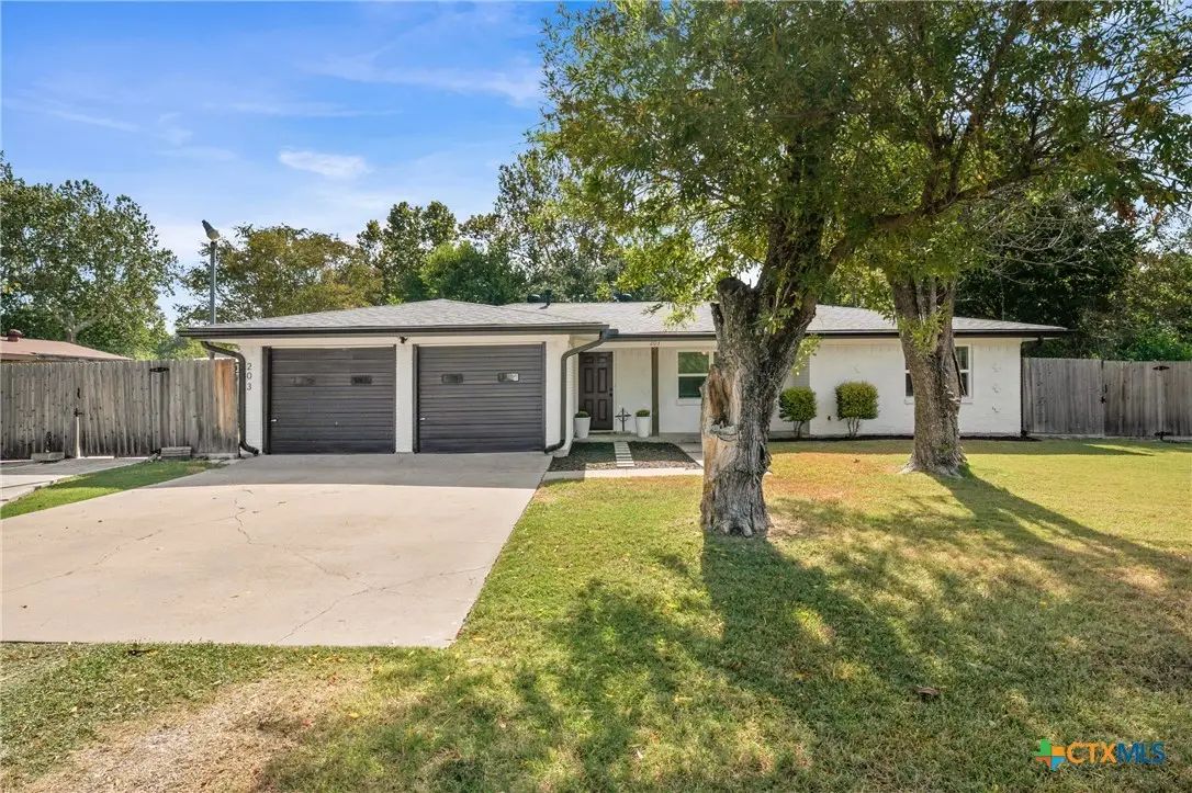 203 N 2nd Street, Little River Academy, TX 76554 - #1